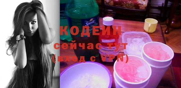 мдпв Верея