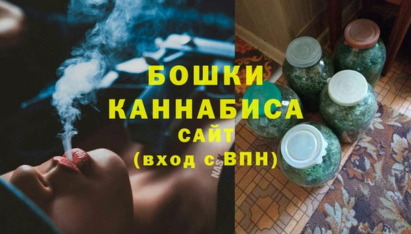 мдпв Верея