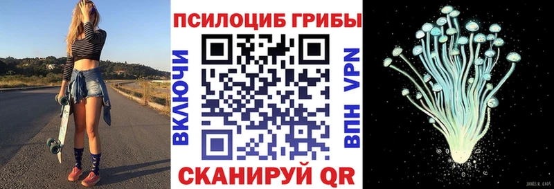 Купить где  Рузаевка  Псилоцибиновые грибы ЛСД 